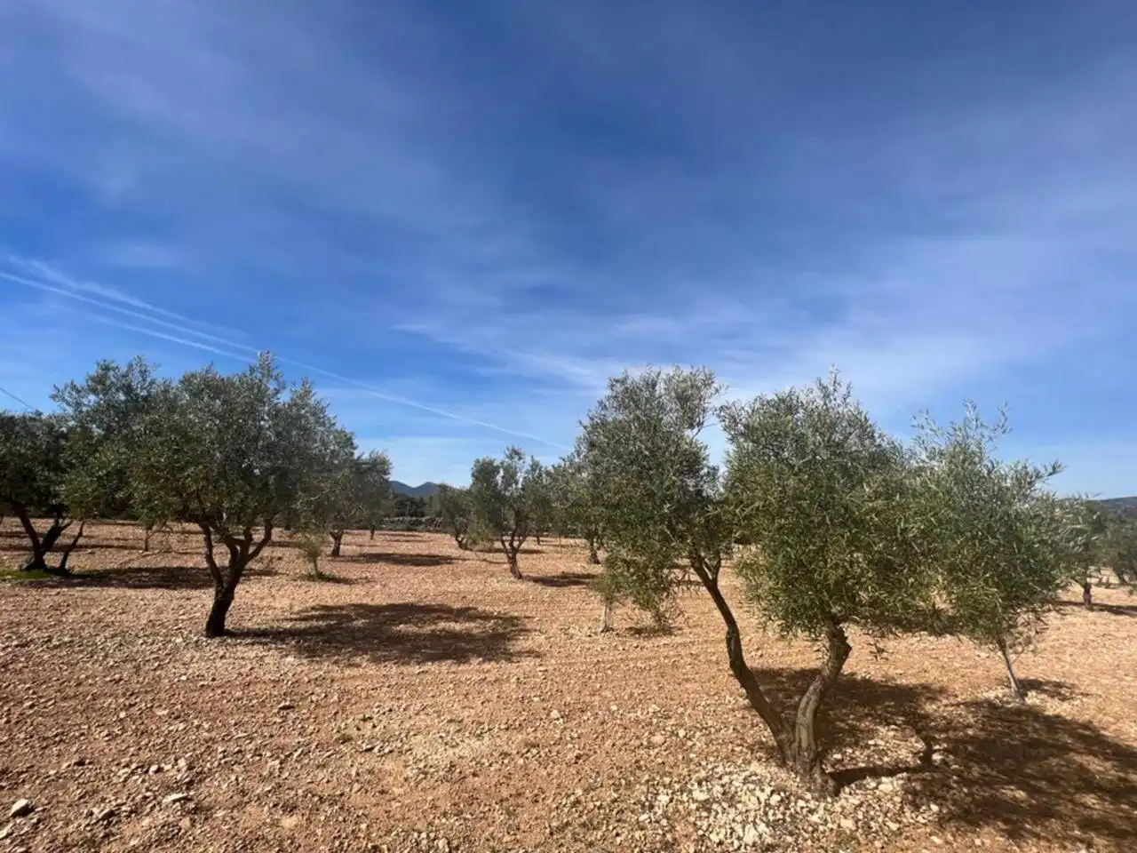 Chalet con jardín en venta en Calle Poligono, imagen 84