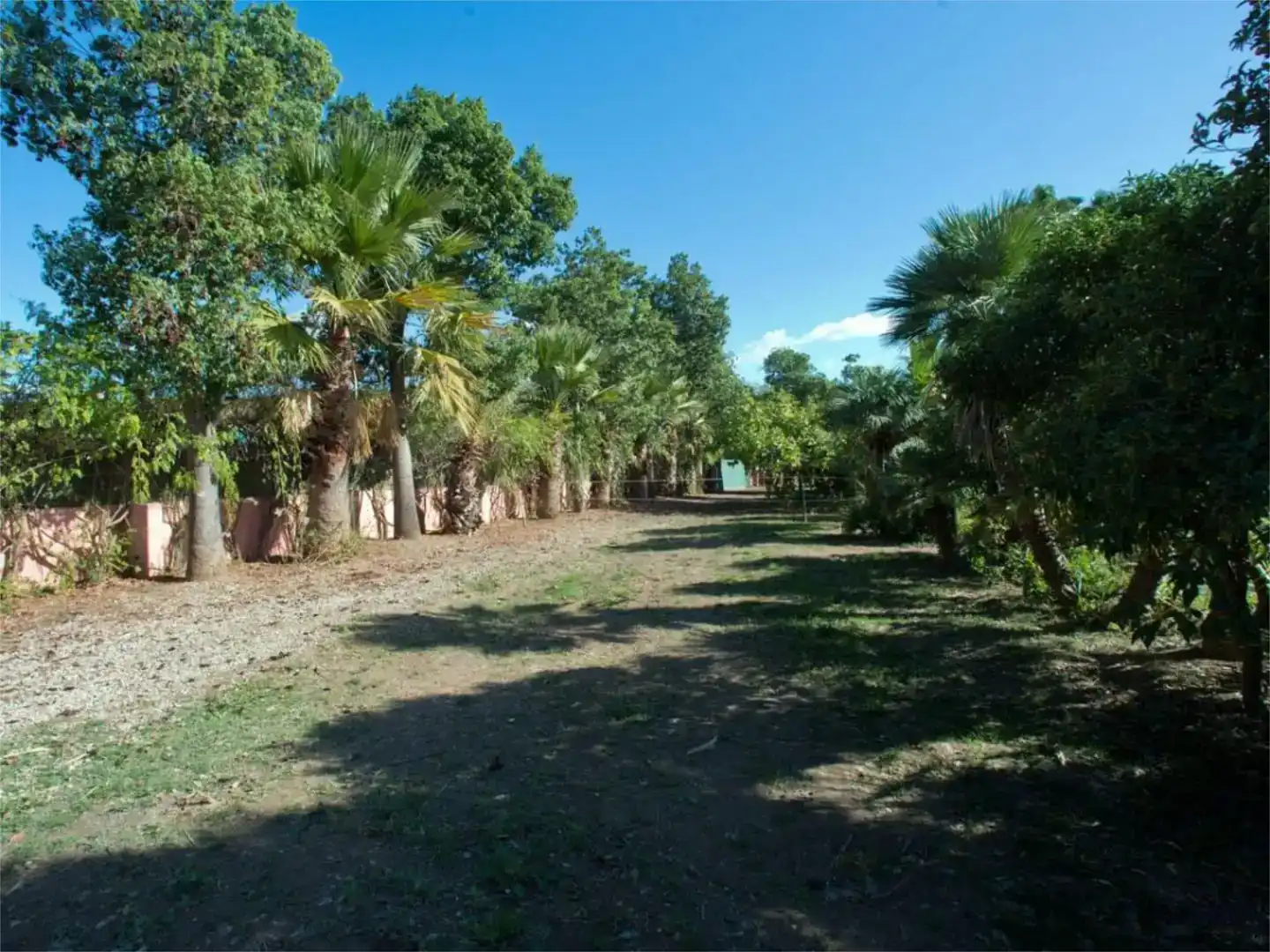 Finca rústica en venta en Estepona