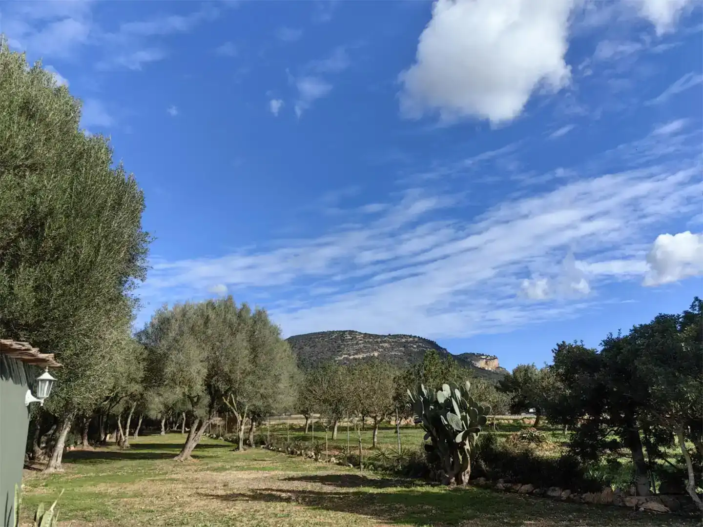 Jardí de Finca rústica en venda en Llucmajor amb Aire condicionat