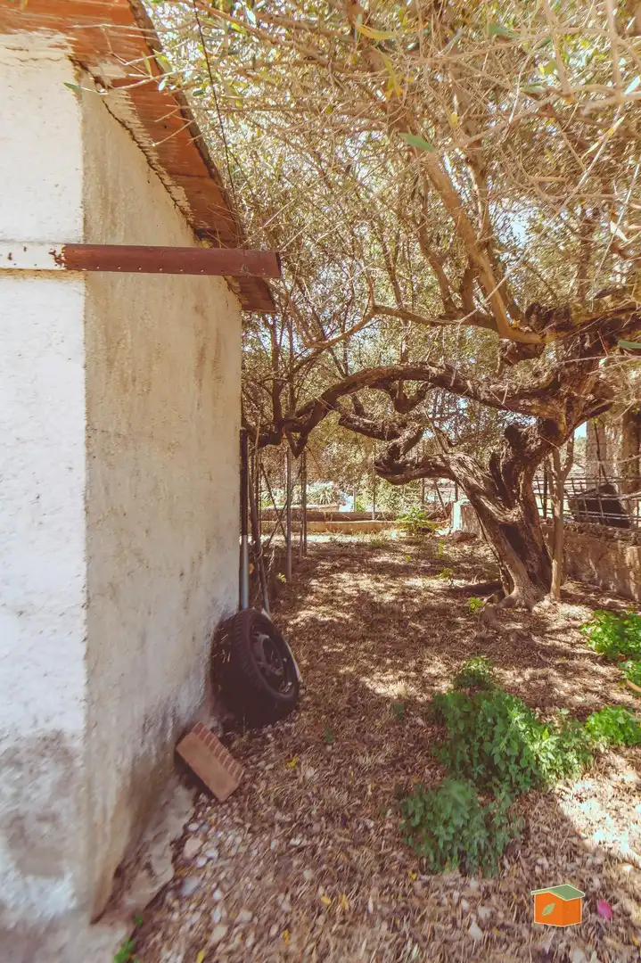 Garden of Country homes for sale in Tortosa  with Private garden, Storage room and Swimming Pool
