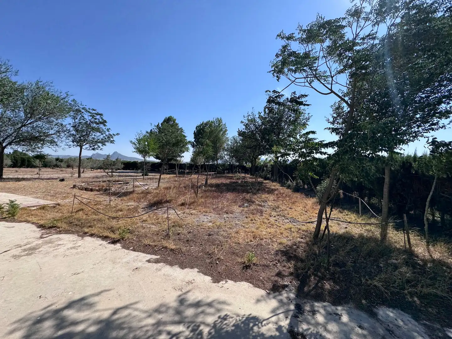 Casa rústica amb jardí en venda a Las Tiesas, imagen 23