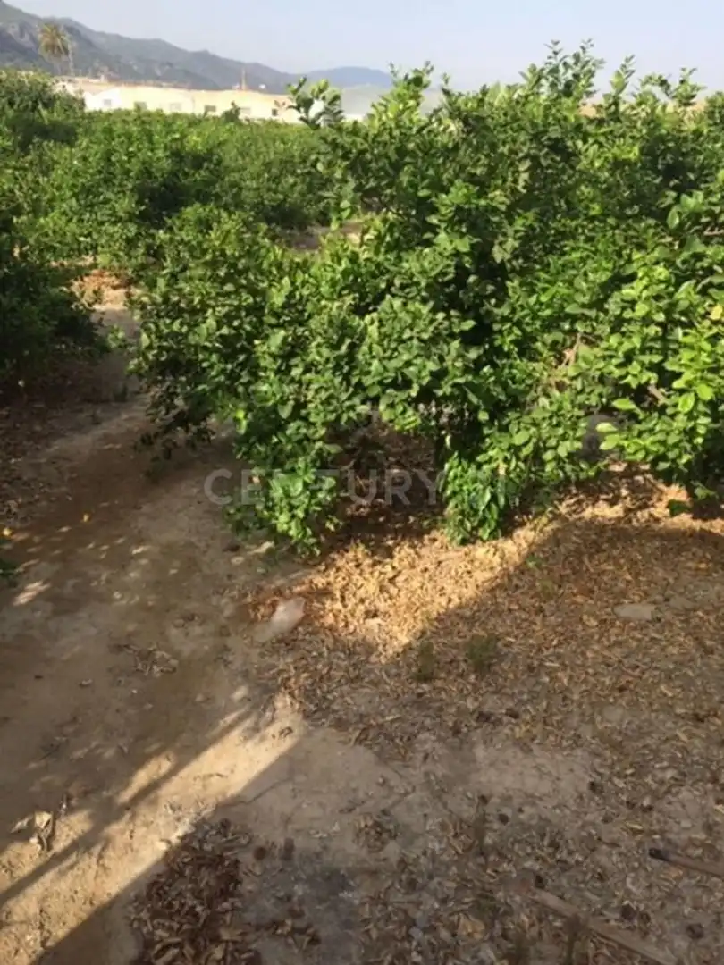 Land for sale in Diseminado, 1, Aledo