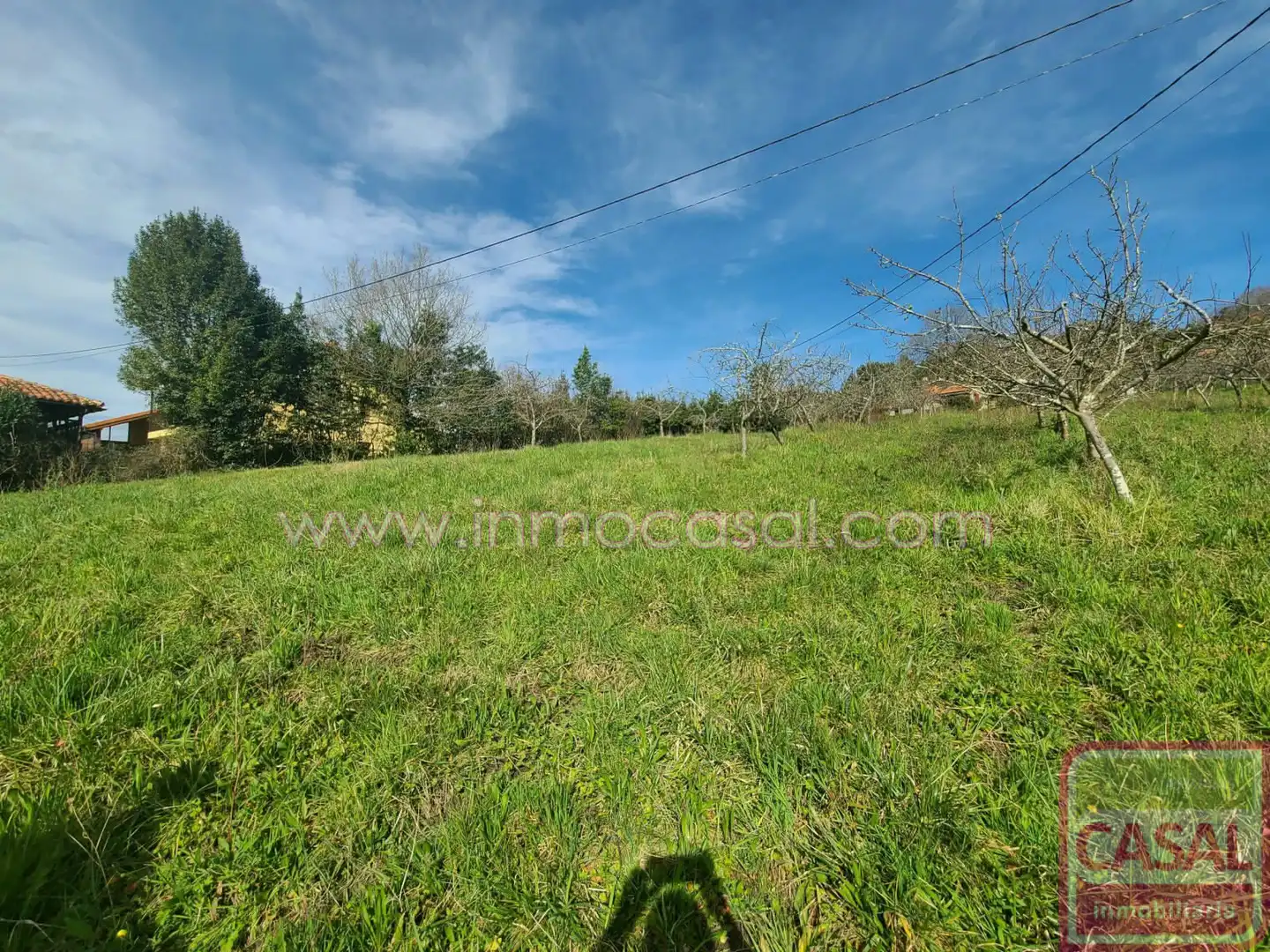 Grundstücke und Bauplätze zum Verkauf in POLIGONO 51 PARCELA 132, imagen 21