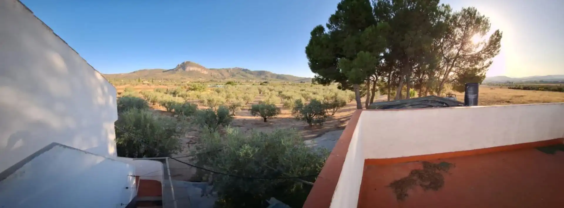 Jardín de Finca rústica en venta en Villena con Terraza y Piscina