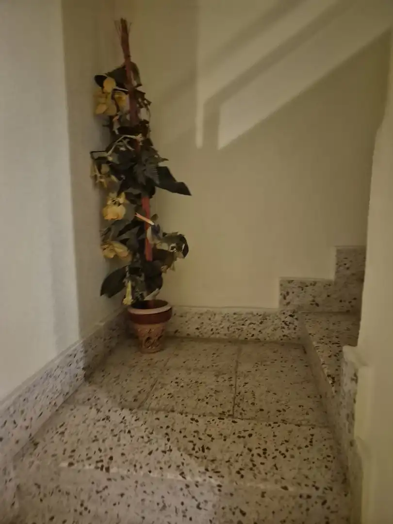 Casa adosada en venta en Ceutí