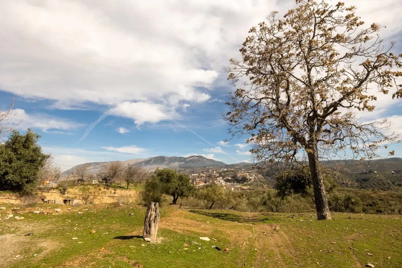Maison rustique à vendre à Albaicín, imagen 43