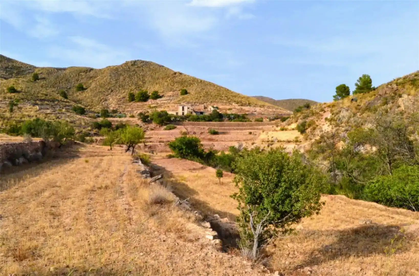Land for sale in Lorca