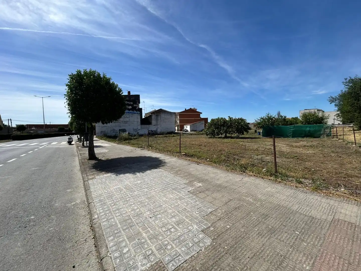 Terreni e lotti in vendita a Moraleja, imagen 6