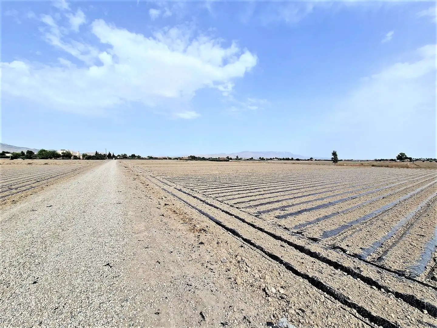 Residential land for sale in Pedanías Centro, imagen 2