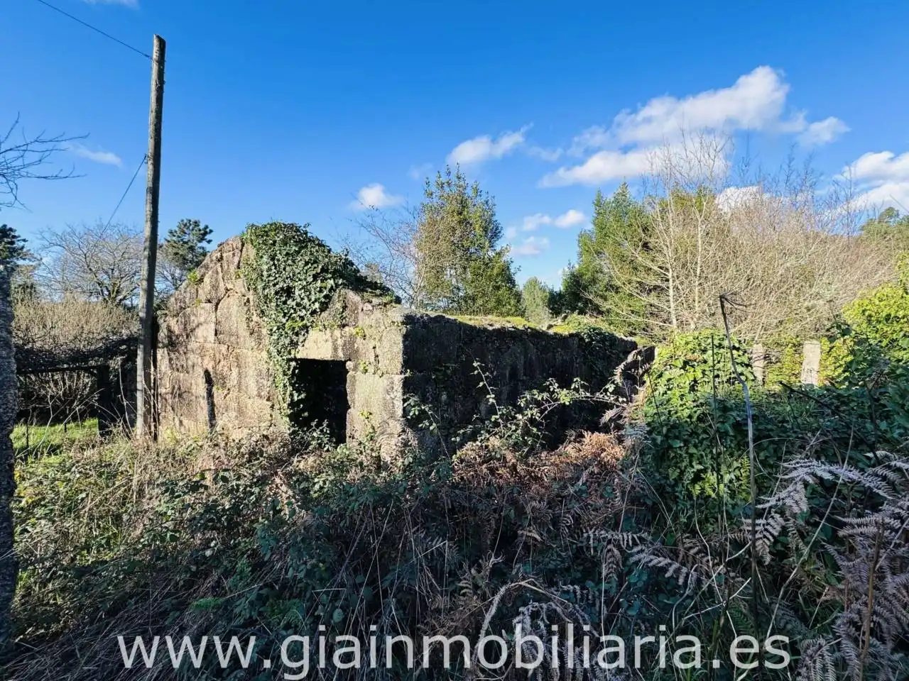 Casa amb jardí en venda a Carretera Carracido