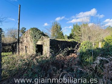 Casa amb jardí en venda a Carretera Carracido
