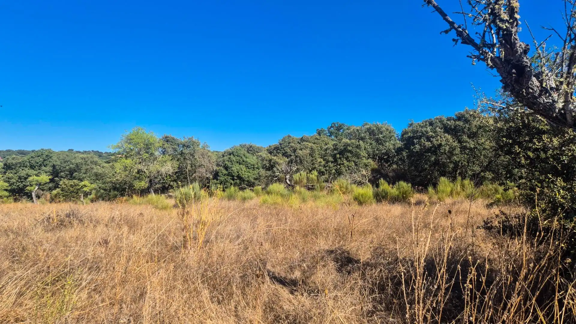 Land for sale in Ahigal de los Aceiteros, Salamanca