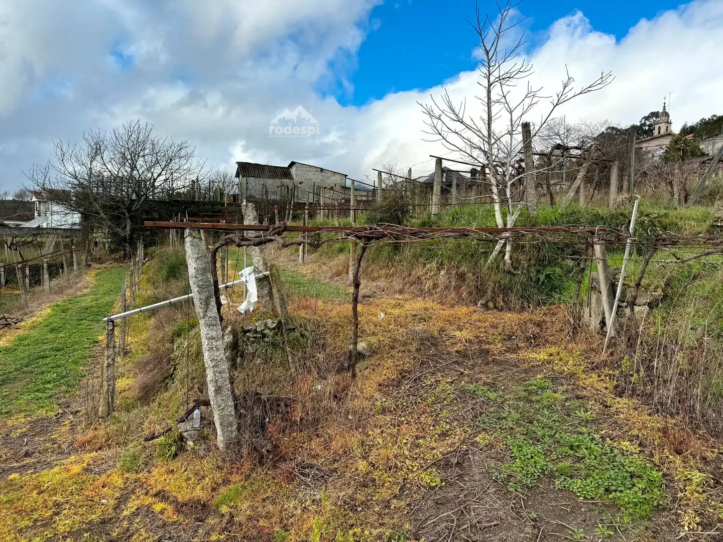 Rural land for sale in Arbo, imagen 10