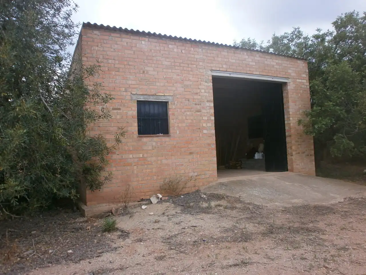 Terreny rústic en venda a Avinguda de Reus