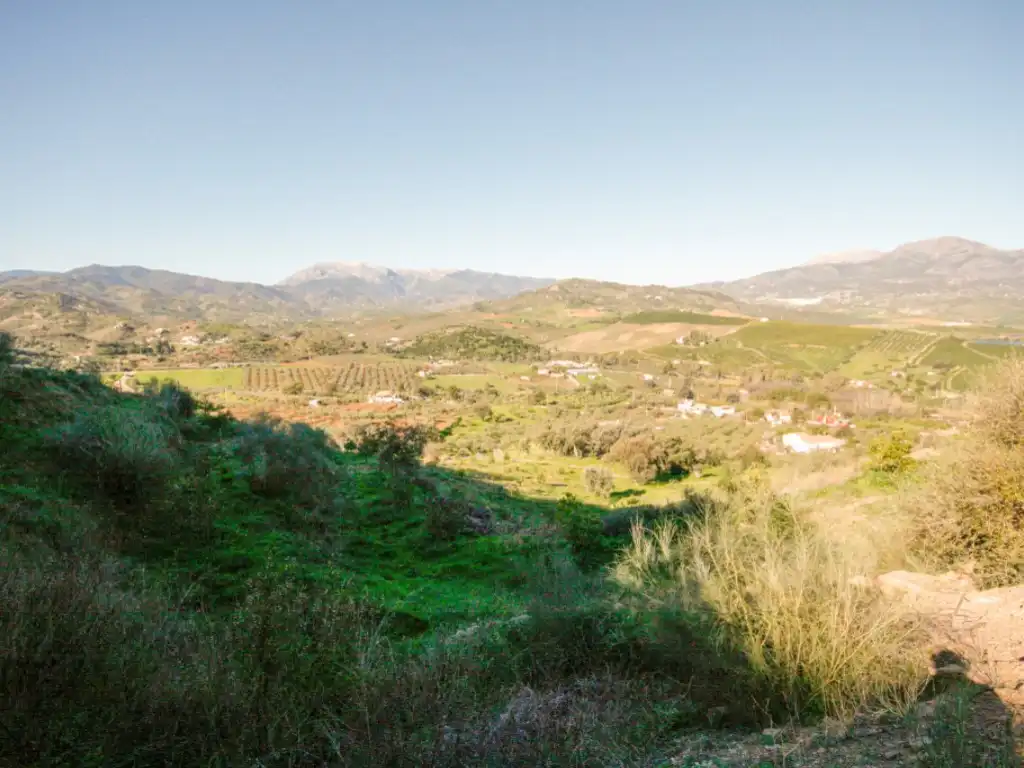 Casa rústica en venta en Partida Llano Comisario, imagen 3