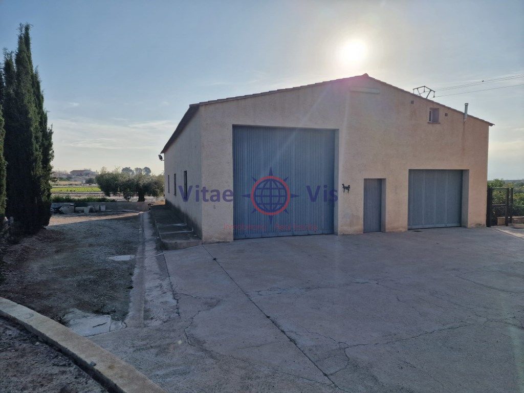 Exterior view of Industrial buildings to rent in Lorca
