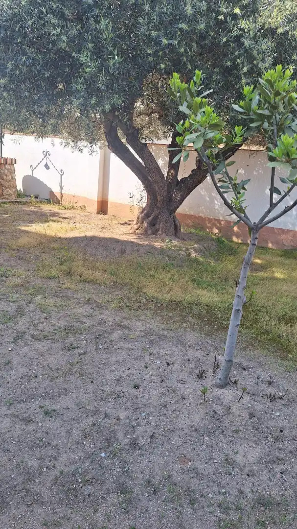 Casa o chalet en venta en Babilonia