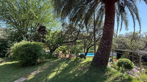 Foto 3 de Finca rústica en venta en Villaviciosa de Córdoba, Córdoba