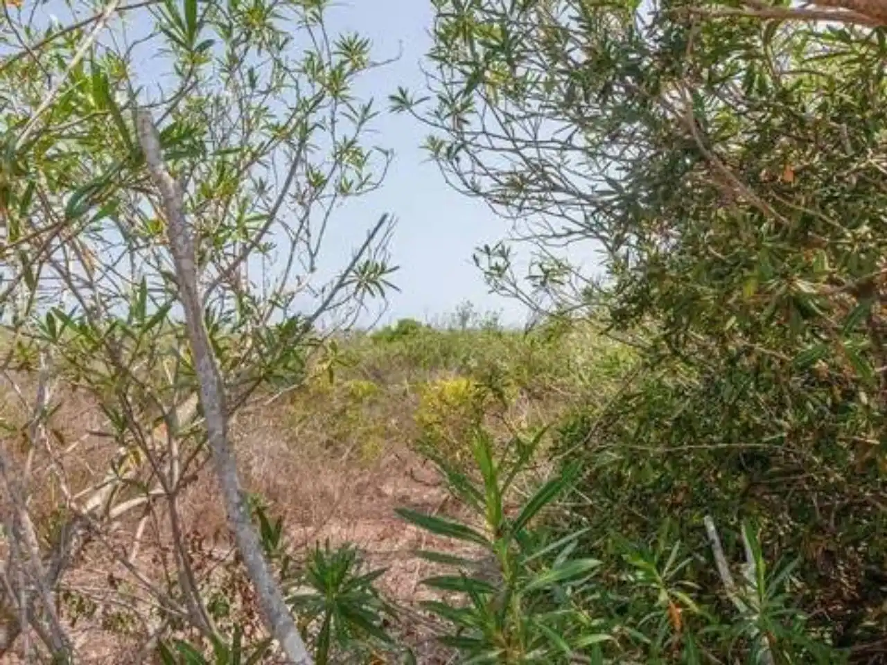 Residential for rent in Cullera