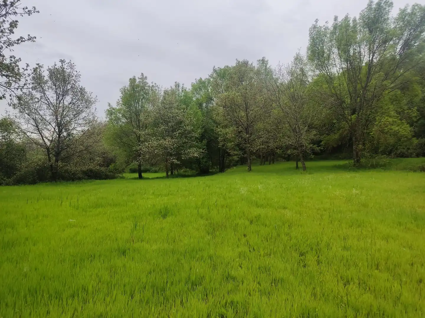 Terreni e lotti in vendita a Jarandilla de la Vera, imagen 18