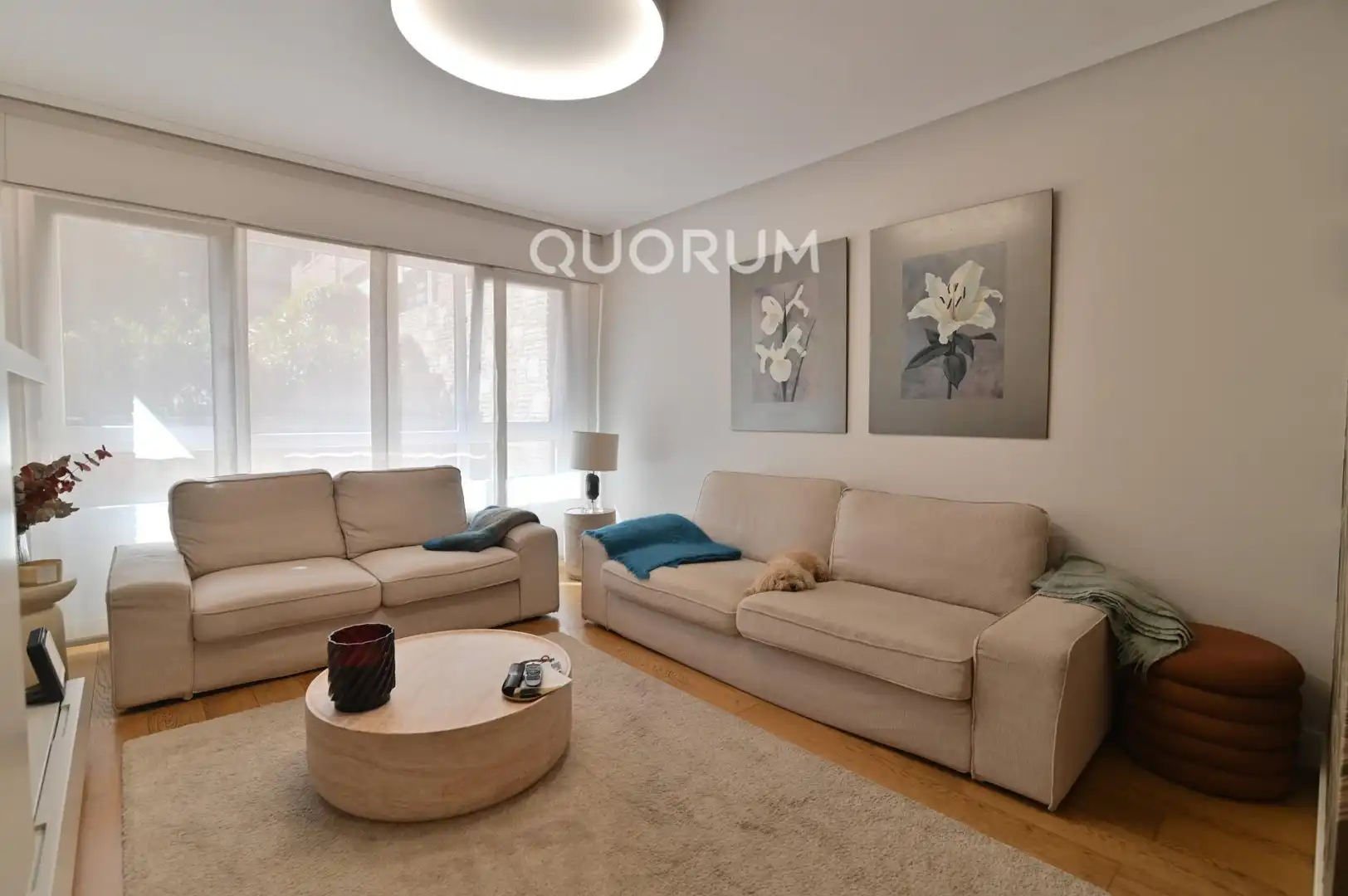 Flat with lift for sale in Avenida Los Chopos