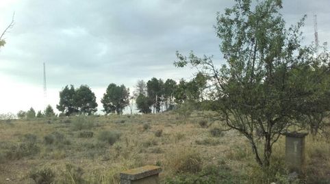 Foto 3 de Terreno en venta en Partida Pla de la Cerdera, La Cerdera, Lleida Capital