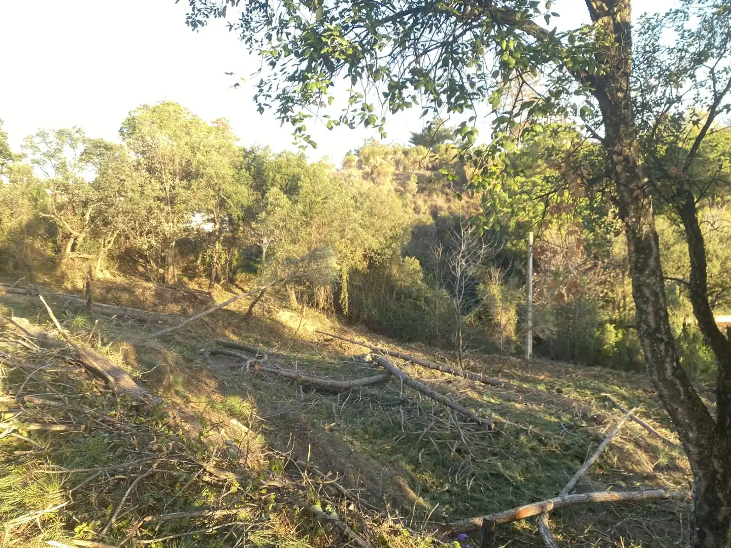 Terreno residencial en venta en Carrer Pi 7, imagen 15
