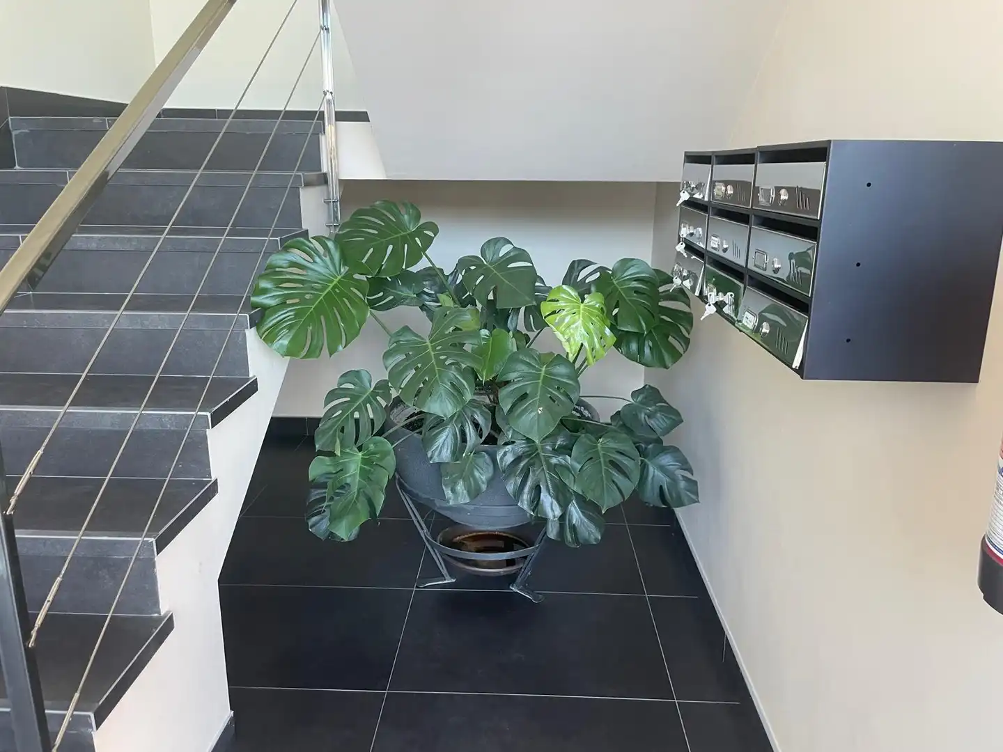 Büro zur Miete in Tàrrega, imagen 3