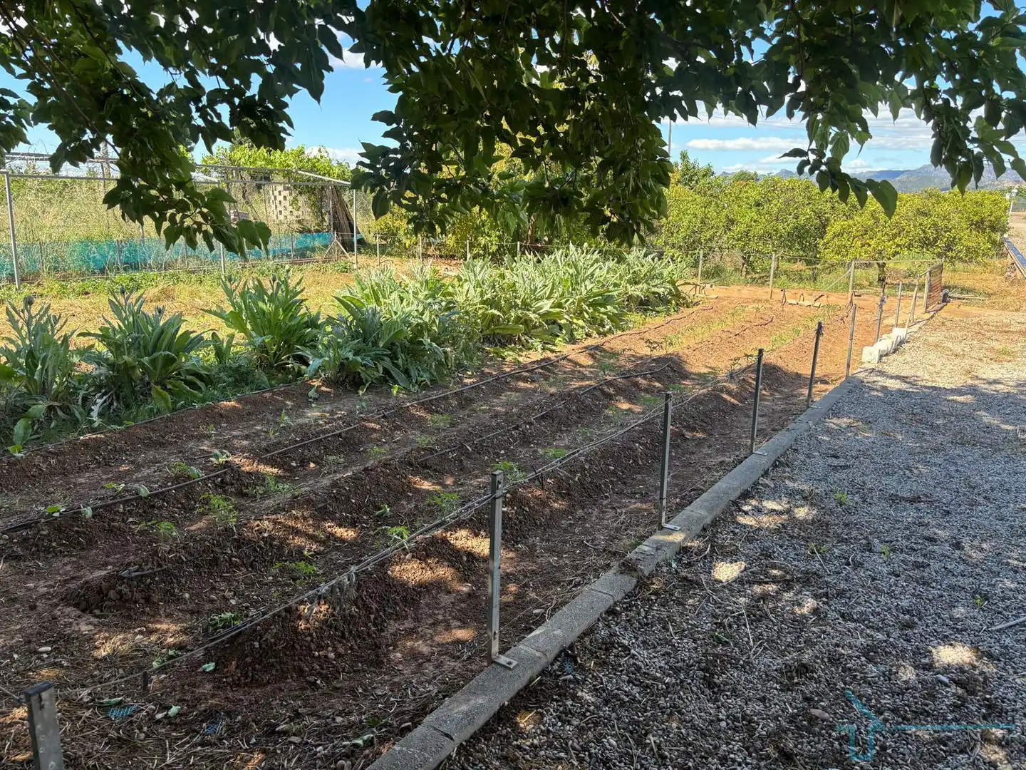 Finca rústica en venta en Corinto - Almarda