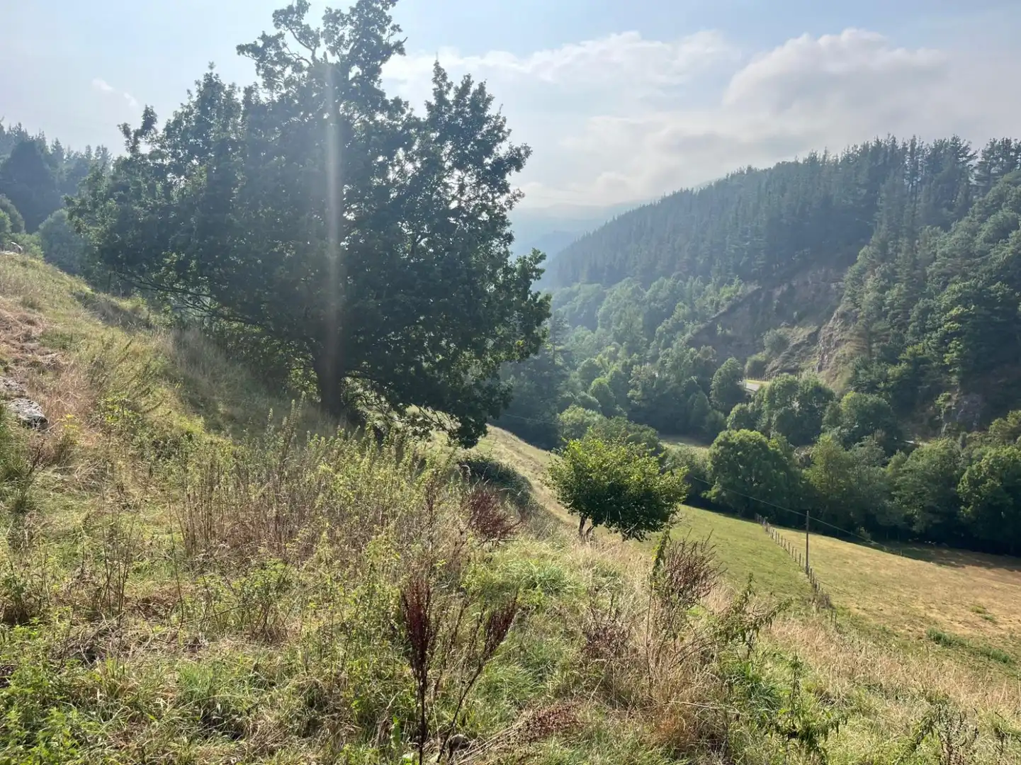 Wohnbaugrundstück zum Verkauf in San Miguel de Luena - SAN MIGUEL DE LUENA, imagen 18
