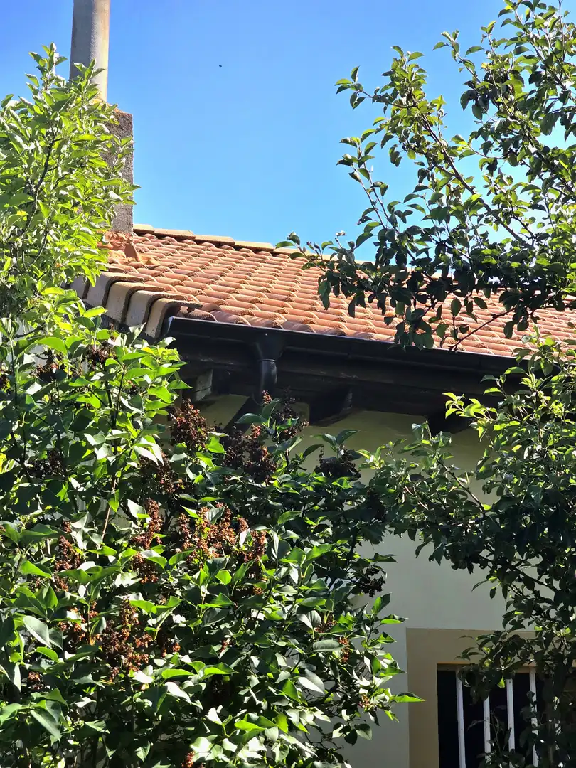 Jardí de Casa o xalet en venda en Cervera de Pisuerga amb Calefacció i Jardí privat