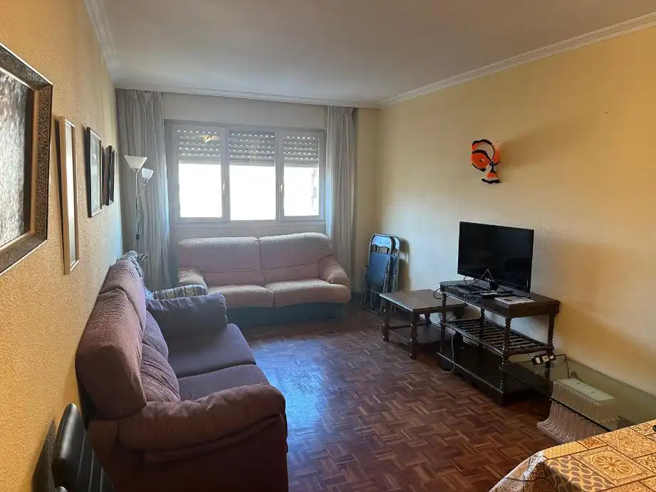 Living room of Flat for rent in  Pamplona / Iruña  with Heating, Parquet flooring and Terrace
