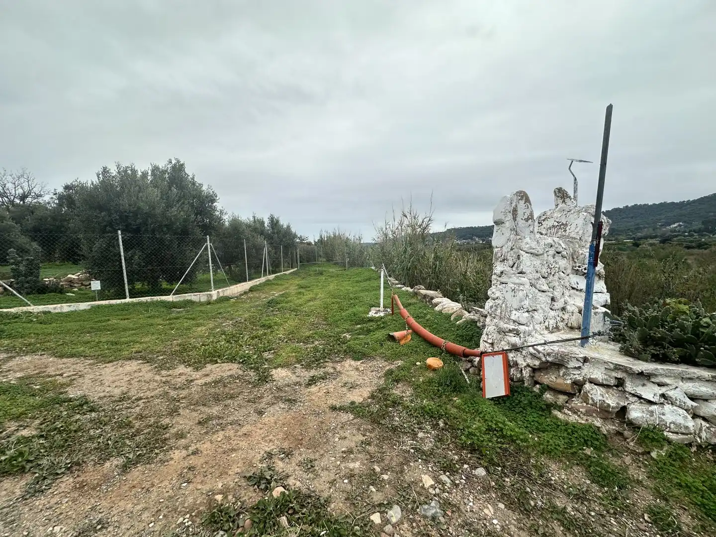 Wohnbaugrundstück zum Verkauf in Petrés, imagen 5