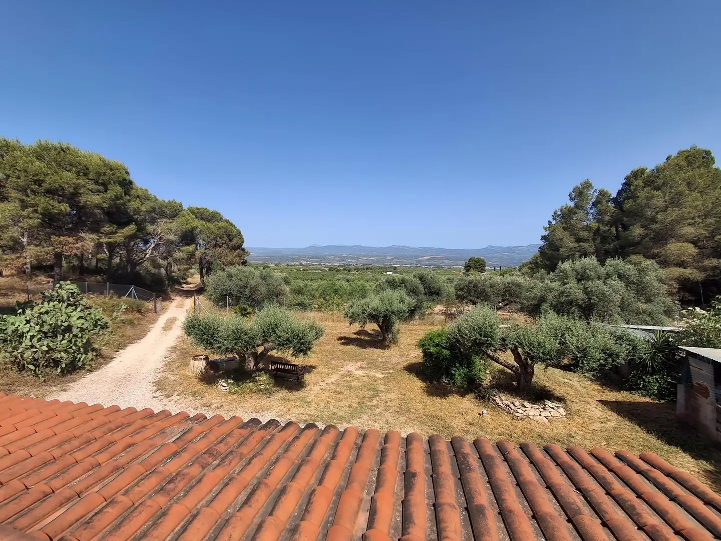 Finca rústica en venda en Móra d'Ebre