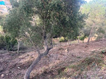 Terreny residencial en venda a Lloret Blau - La Creu de Lloret