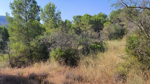 Photo 3 of House or chalet for sale in Benifallet, Tarragona