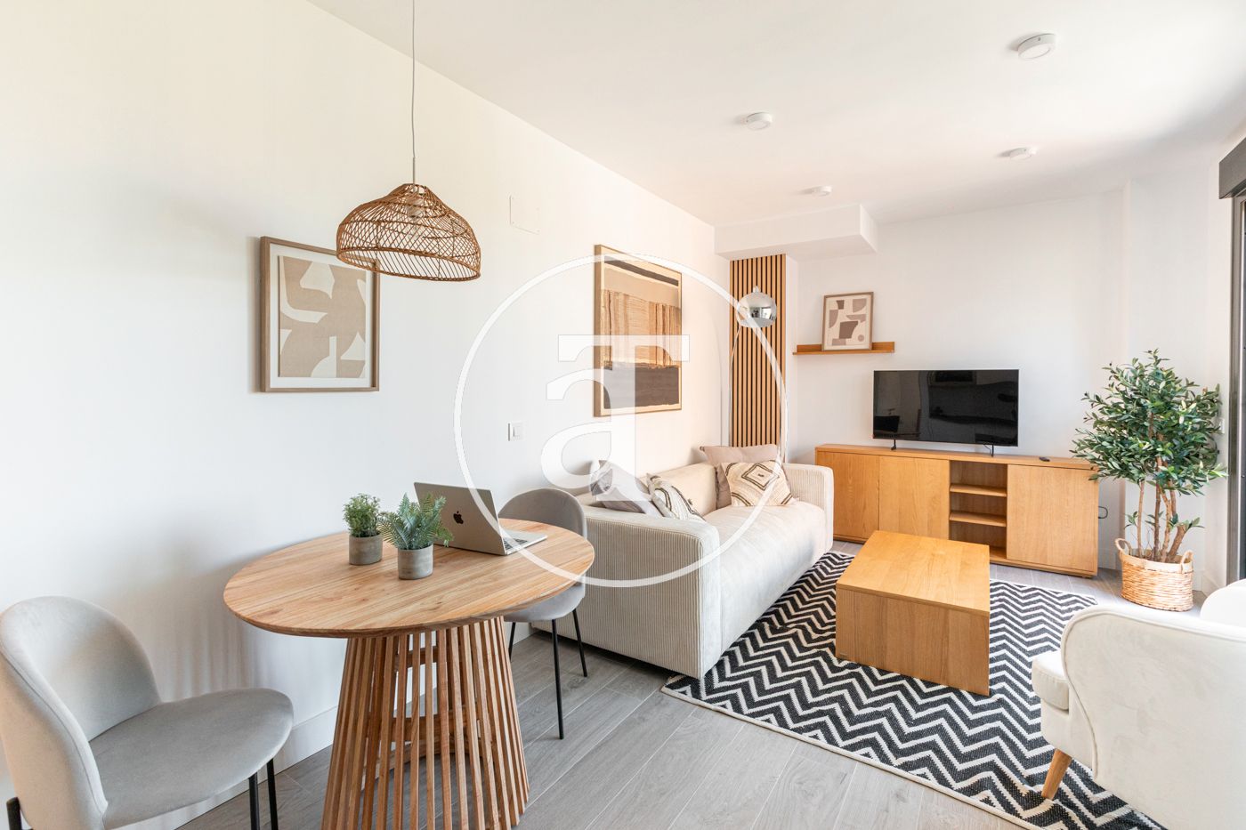 Living room of Flat to rent in  Madrid Capital  with Air Conditioner, Heating and Terrace