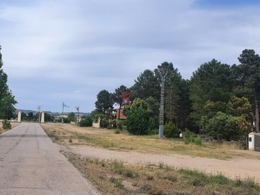 Terreny rústic en venda a PINAR DE JÁBAGA PRIMERA LÍNEA