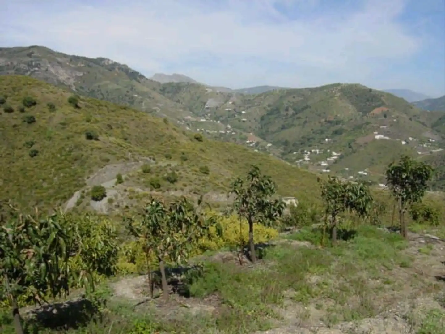 Rural land for sale in Diseminado Matachinas Pol 12, imagen 4