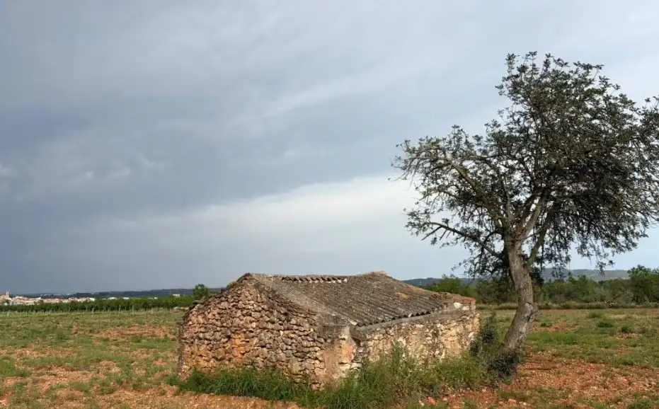 Terreny rústic en venda a Benlloc