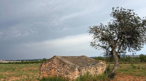 V15075 FINCA RUSTICA CON ANTIGUA EDIFICACIÓN