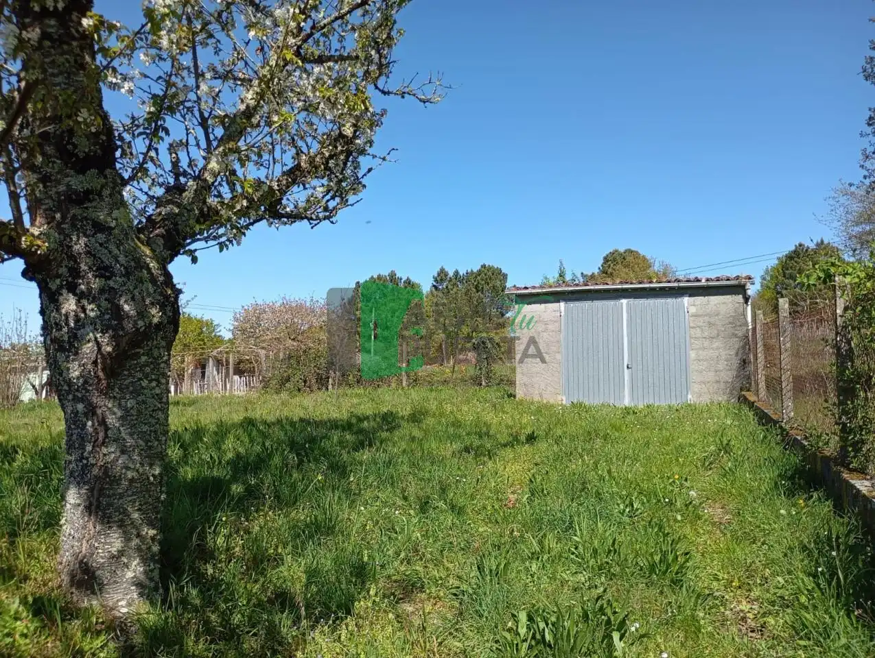 Terreni e lotti in vendita a Amoeiro, imagen 10