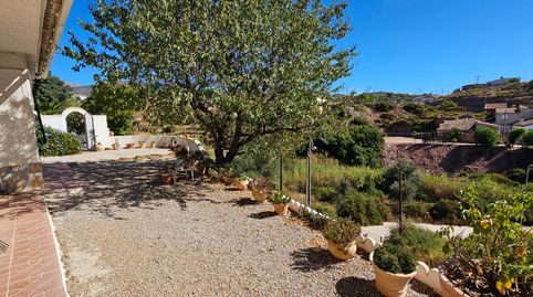 Venta Huerto con Parcela en Aledo (Murcia), imatge 5