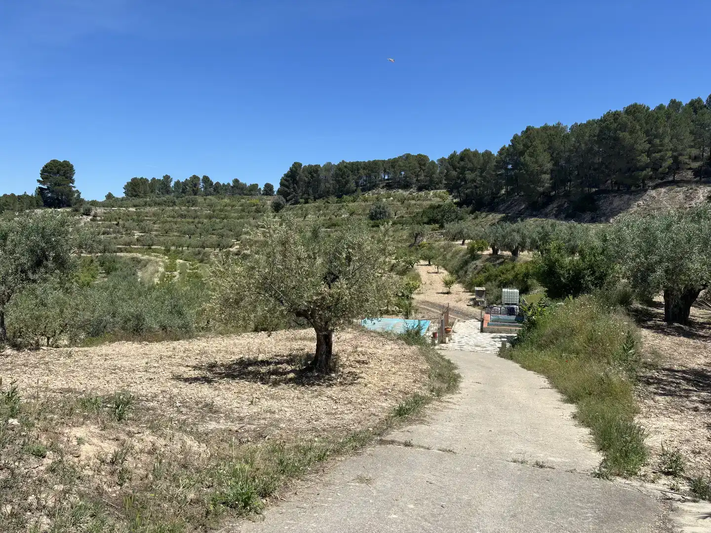 Country homes for sale in Cocentaina
