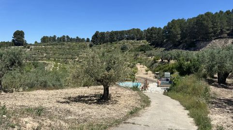 Foto 3 de Finca rústica en venta en Cocentaina, Alicante