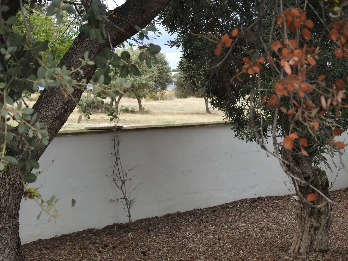 Terreni e lotti in vendita a Peraleda de la Mata, imagen 5