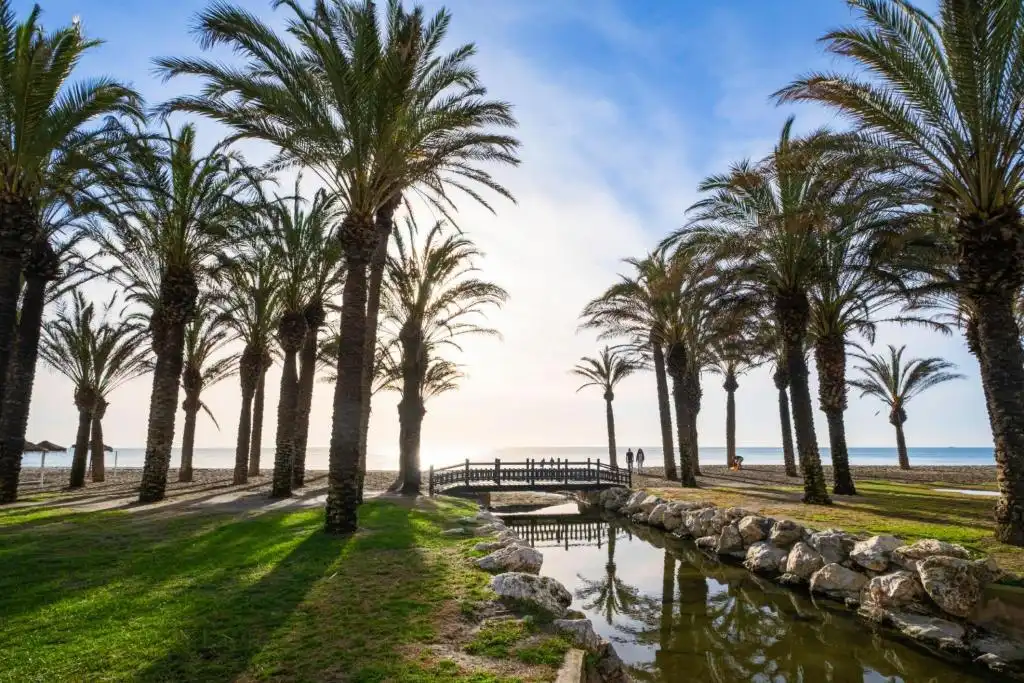 Vista exterior de Estudio en venta en Torremolinos con Amueblado y Piscina comunitaria