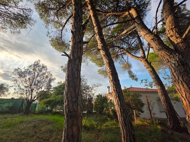 Terreno residenziale in vendita a Abrera
