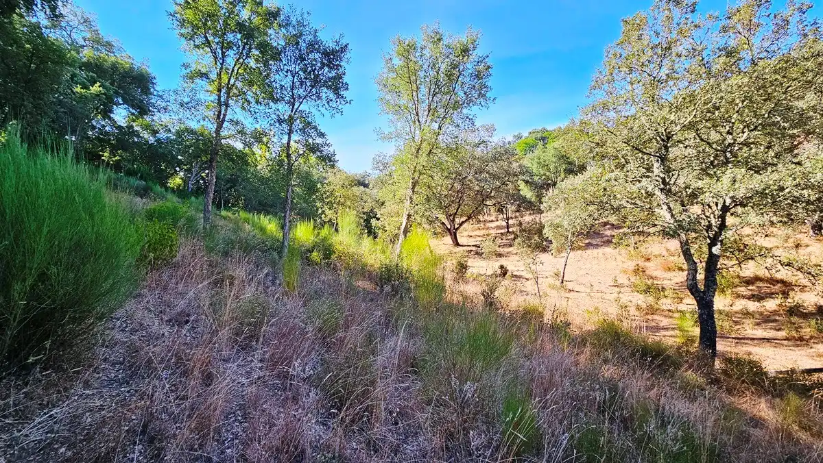 Terreno en venta en Los Marines