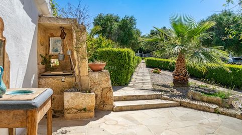 Foto 5 de Finca rústica en venta en Camí Vell de S'ullastrar, 47, Sant Lluís - S'Ullestrar - Torret, Sant Lluís